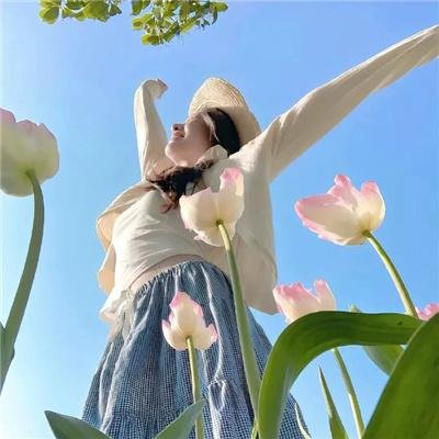 天才麻将少女：阿知贺篇