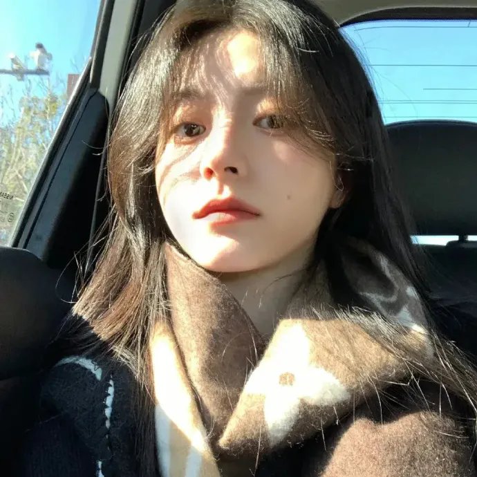 金刀秘卫之婳美人